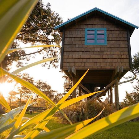 Tui Ridge Eco Cabins Aongatete Εξωτερικό φωτογραφία