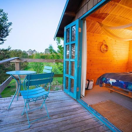 Tui Ridge Eco Cabins Aongatete Εξωτερικό φωτογραφία