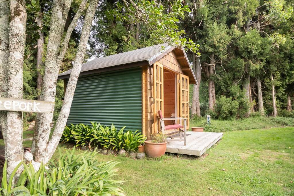 Tui Ridge Eco Cabins Aongatete Εξωτερικό φωτογραφία