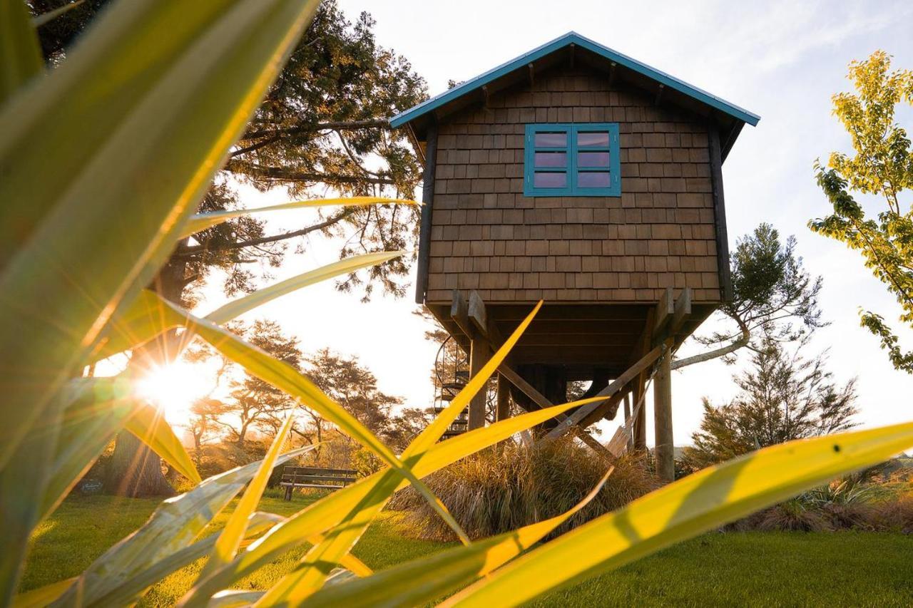 Tui Ridge Eco Cabins Aongatete Εξωτερικό φωτογραφία