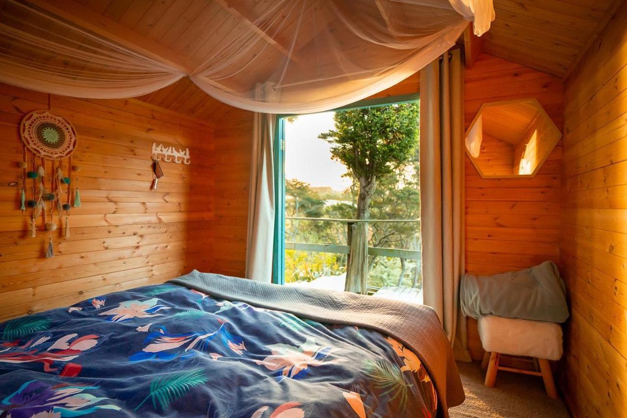 Tui Ridge Eco Cabins Aongatete Εξωτερικό φωτογραφία