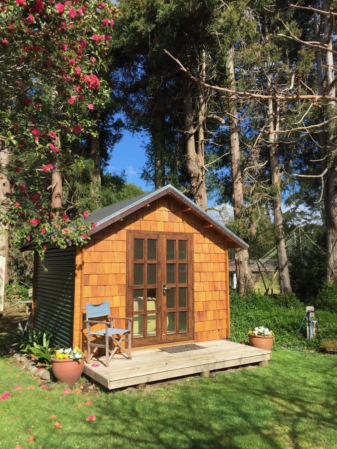 Tui Ridge Eco Cabins Aongatete Εξωτερικό φωτογραφία