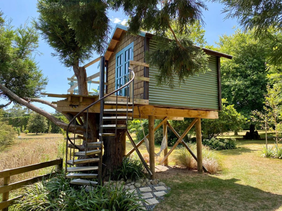 Tui Ridge Eco Cabins Aongatete Εξωτερικό φωτογραφία