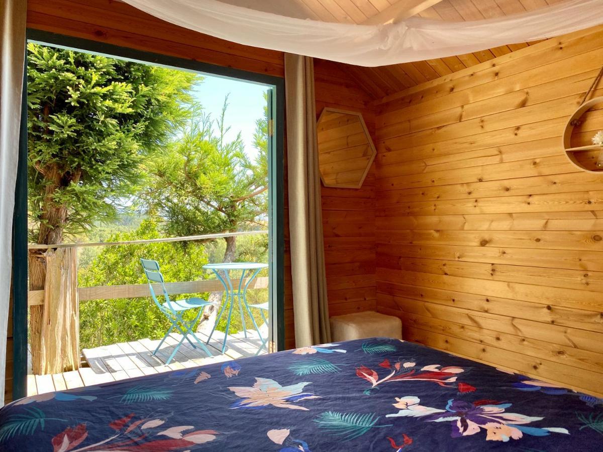 Tui Ridge Eco Cabins Aongatete Εξωτερικό φωτογραφία
