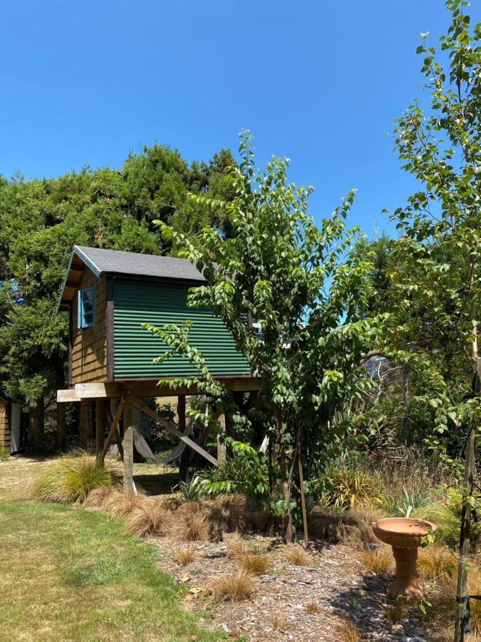 Tui Ridge Eco Cabins Aongatete Εξωτερικό φωτογραφία